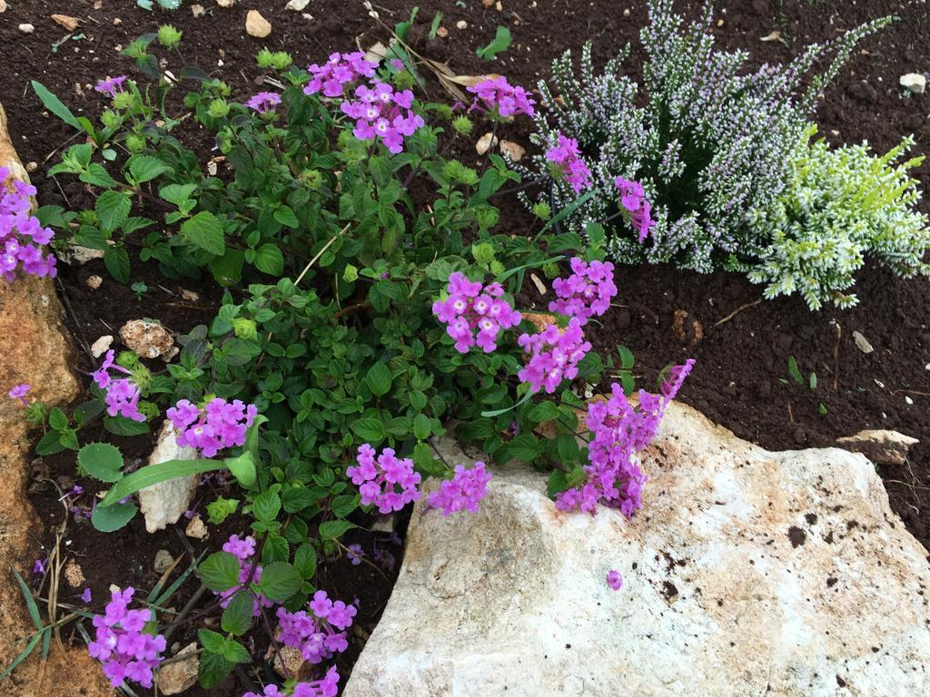 Willa Trulli Relais Casa Gemma Martina Franca Zewnętrze zdjęcie