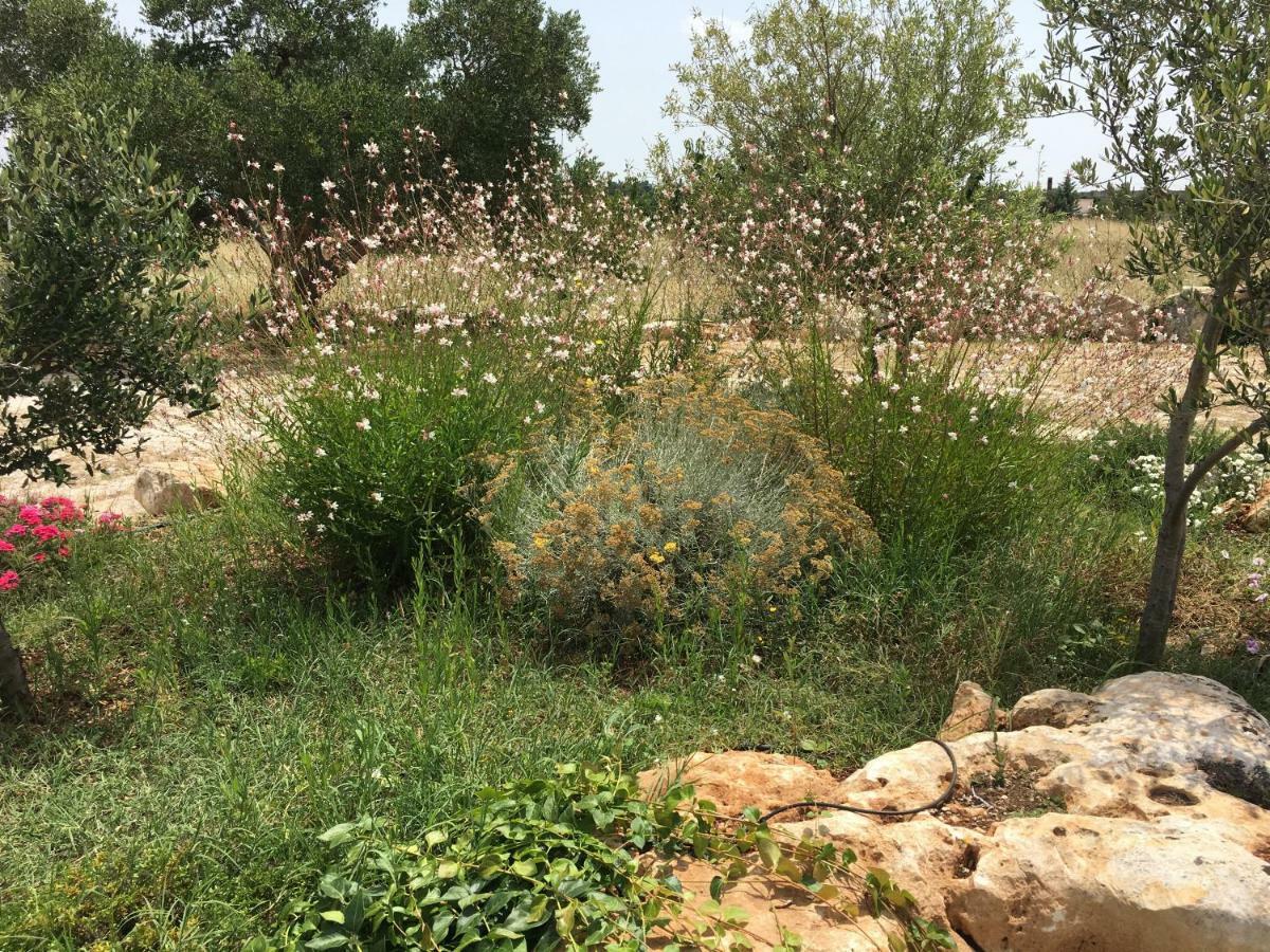 Willa Trulli Relais Casa Gemma Martina Franca Zewnętrze zdjęcie